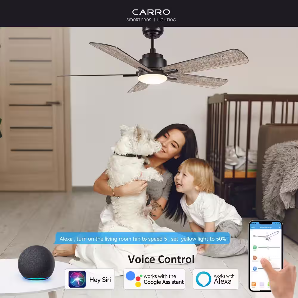 CARRO Apex 52 in. Integrated LED Indoor/Outdoor Black Smart Ceiling Fan with Light and Remote, Works with Alexa/Google Home
