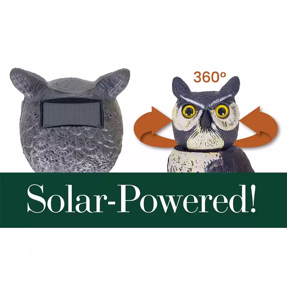 GARDENEER By Dalen 18.5 in. H Dalen Products SOL-R Action Owl