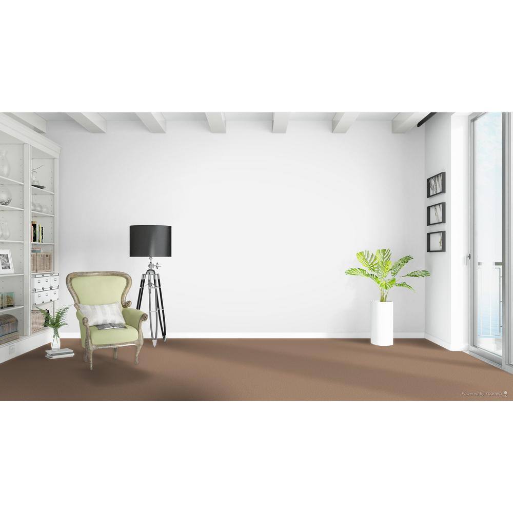 Home Decorators Collection Stargazer  - Twilight - Beige 32 oz. SD Polyester Texture Installed Carpet