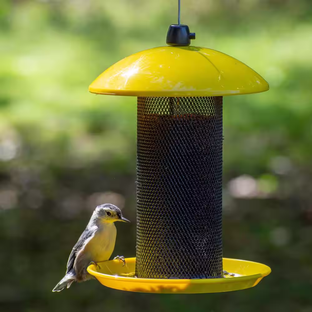 Perky-Pet 1.5 lbs. Yellow Finch Feeder
