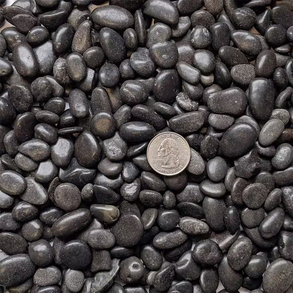 Dyiom 0.1 cu. ft. Black Small Polished Pebbles 2 lbs. 3/8 in.-1/2 in. Size Landscape Rocks