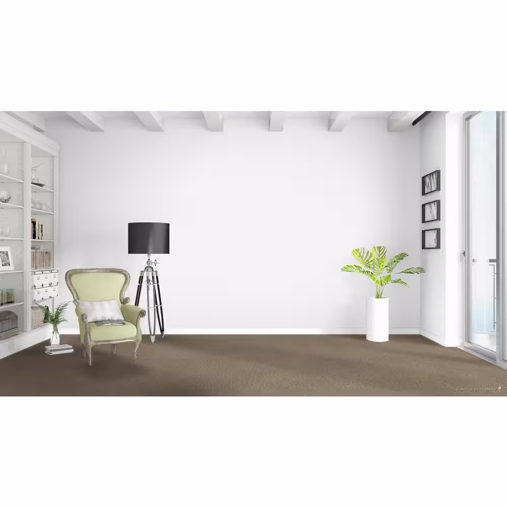 Home Decorators Collection Whispers  - Broadcast - Beige 38 oz. SD Polyester Texture Installed Carpet