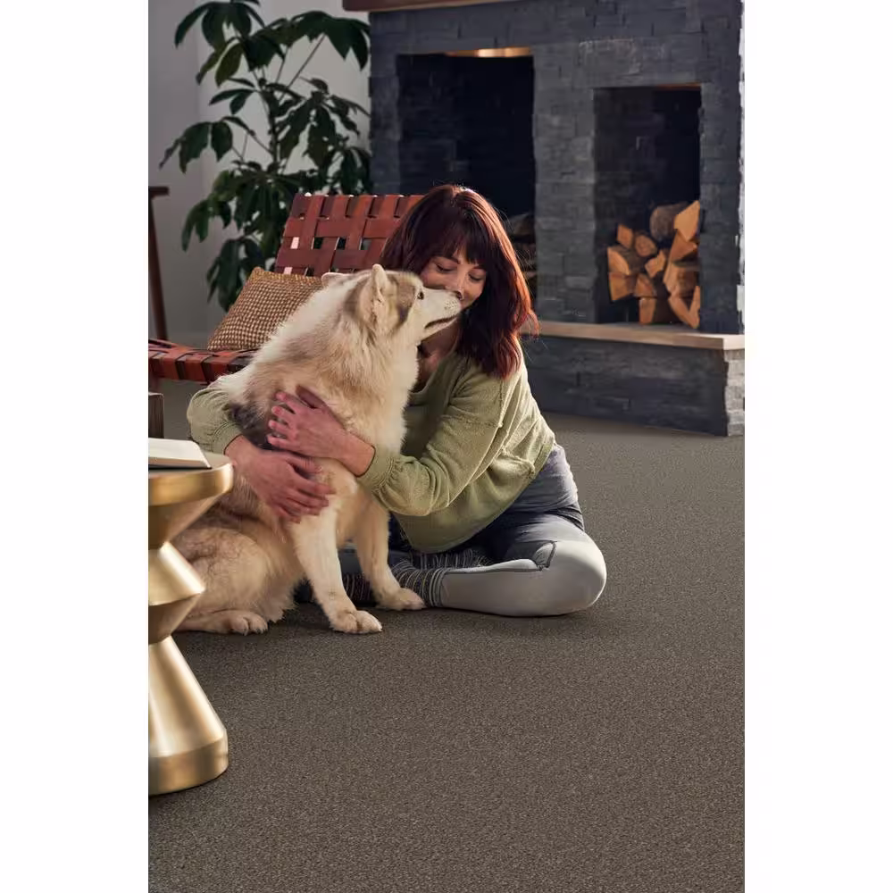Home Decorators Collection Pioneer - Moccasin - Brown 73.5 oz. SD Polyester Texture Installed Carpet