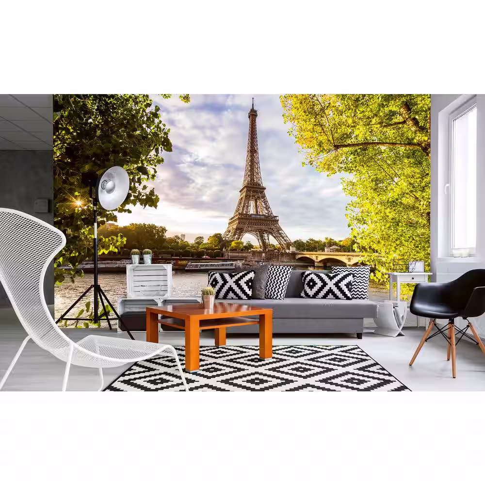 Dimex Seine In Paris Cityscapes Wall Mural