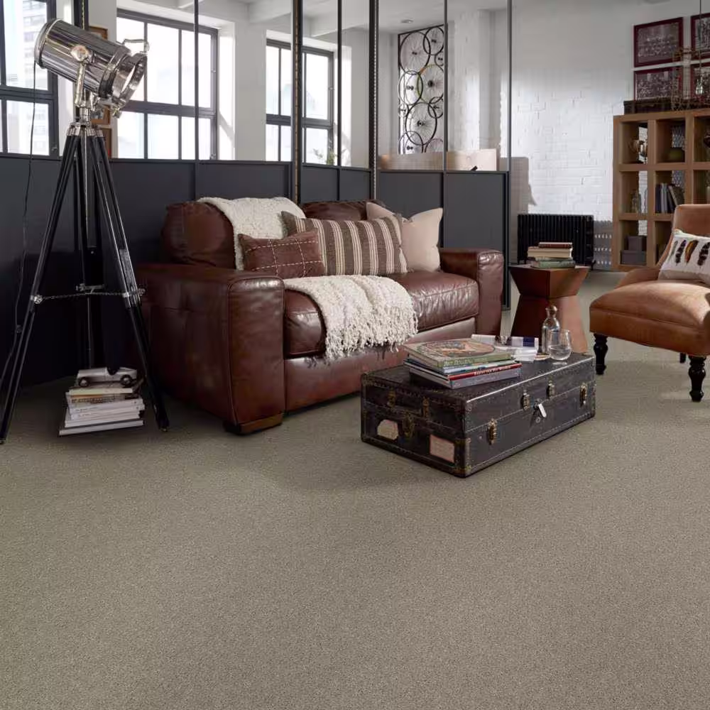 Home Decorators Collection Brave Soul II - Dream Dust - Brown 44 oz. Polyester Texture Installed Carpet