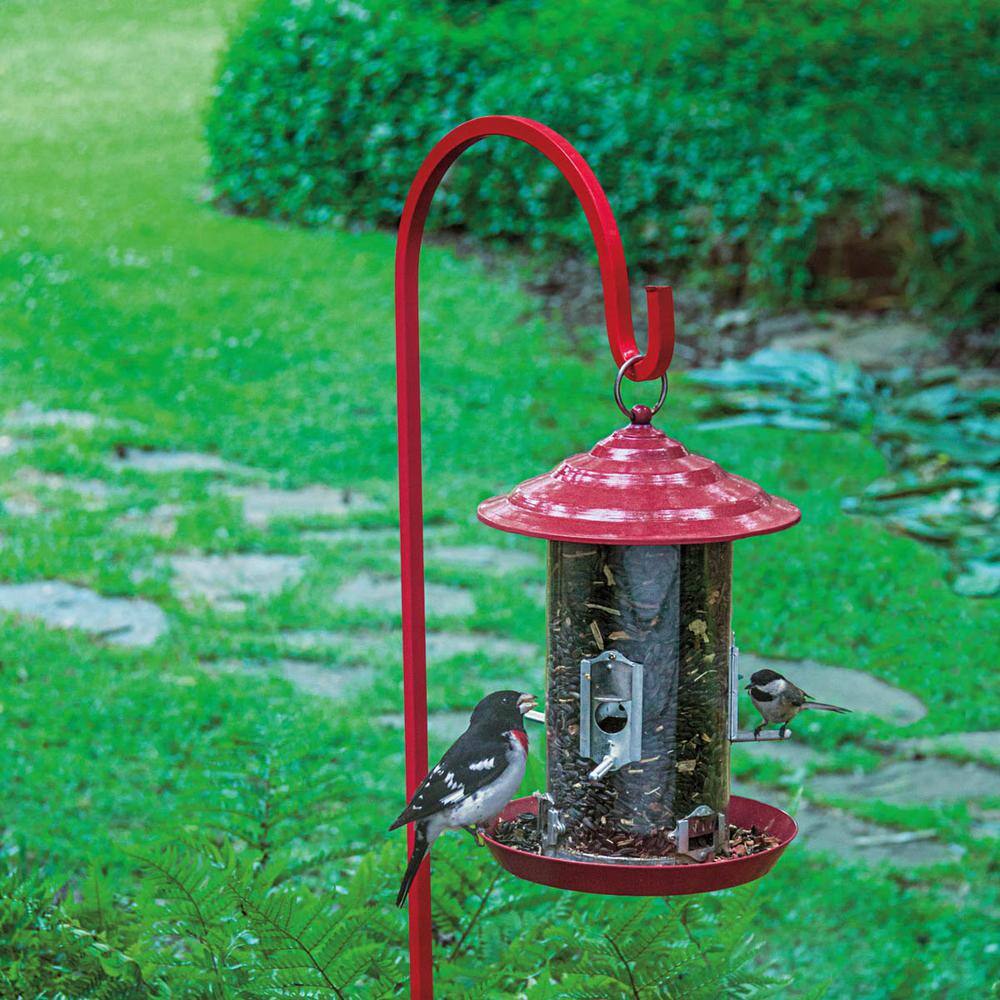 Audobon Workshop 12 In. Tall Backyard Raspberry Red Bird Feeder