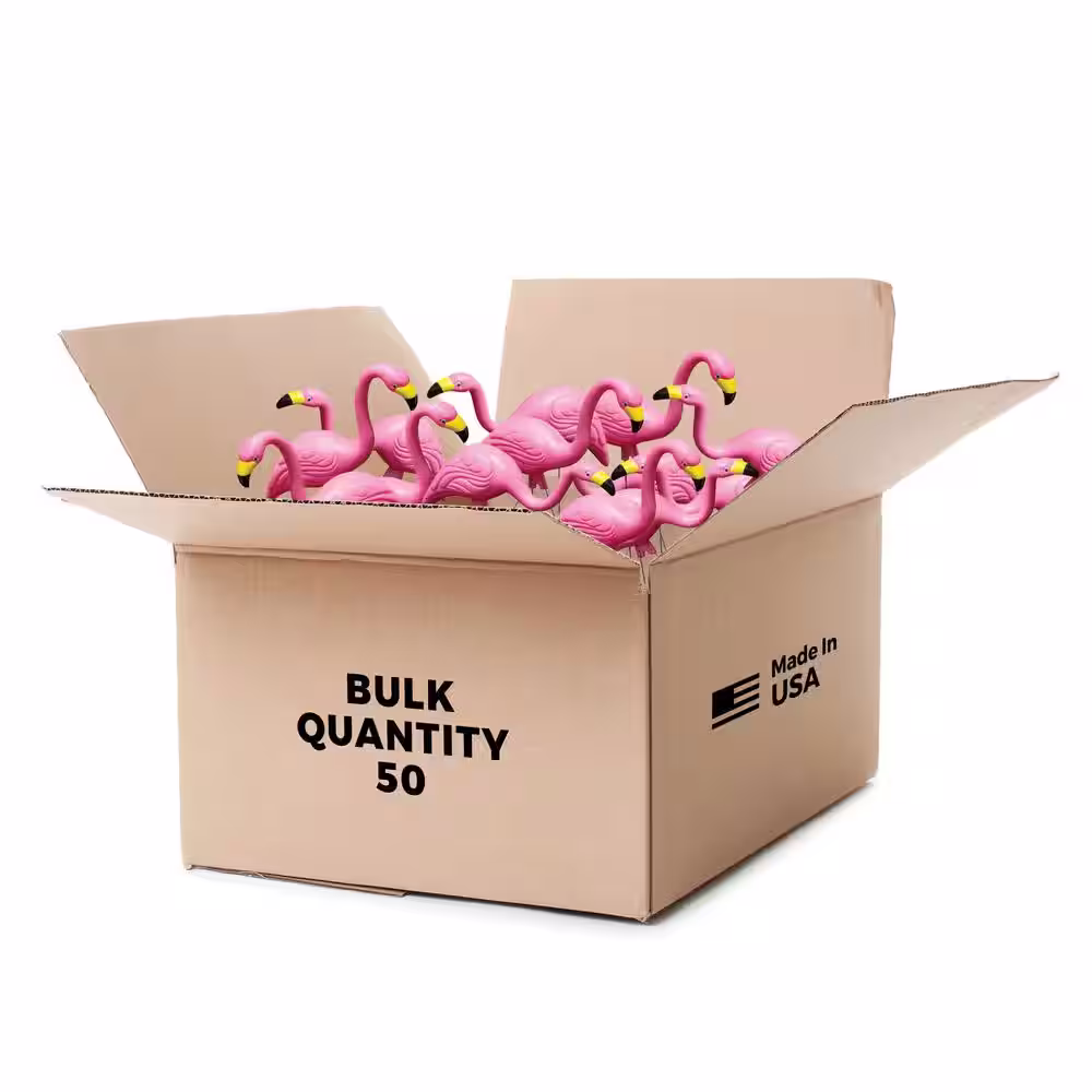 Bloem Pink Flamingo (50-Pack)