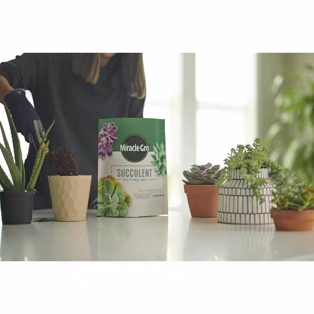 Miracle-Gro 4 Qt. Succulent Potting Mix
