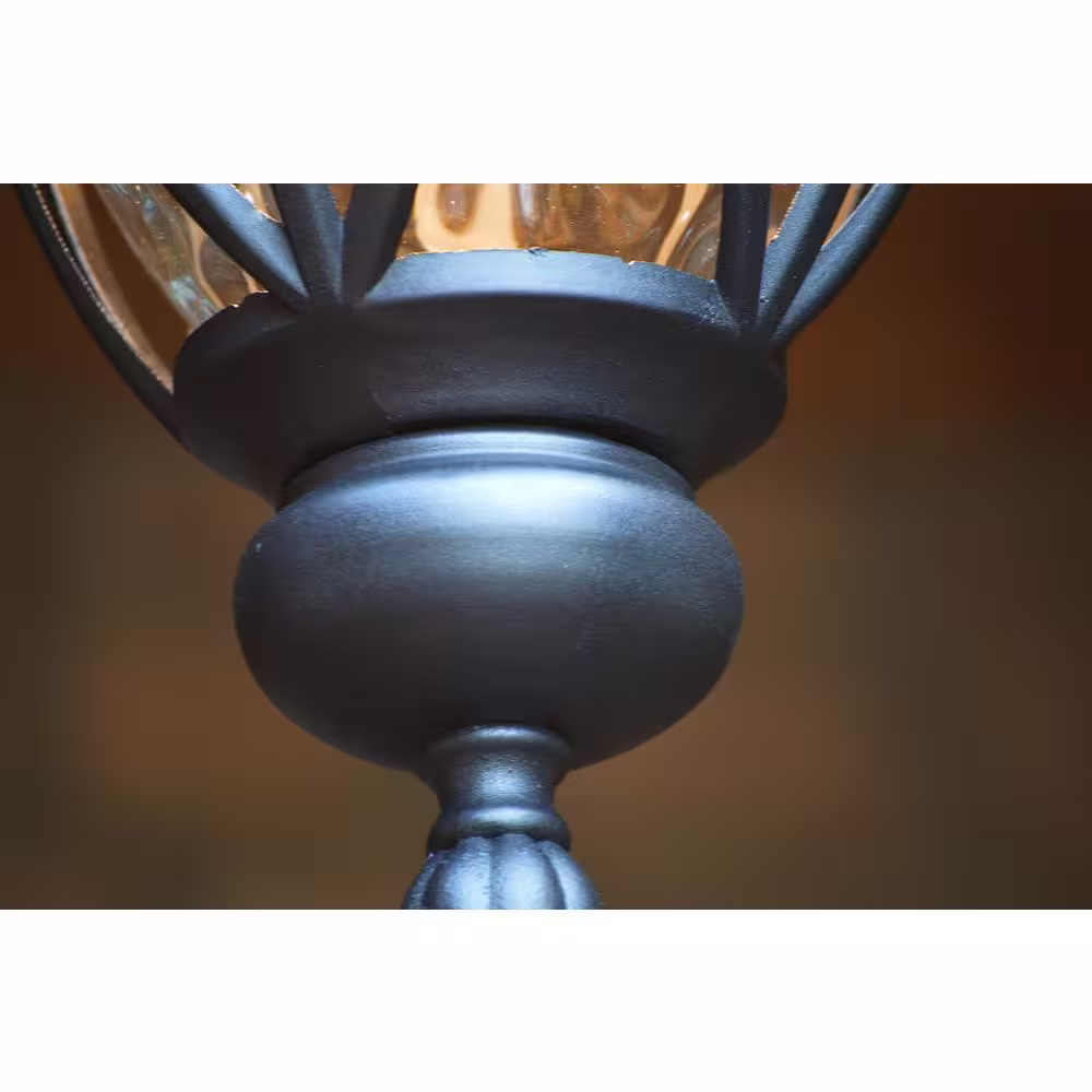 None Hailee 1-Light Matte Black Outdoor Pendant Light
