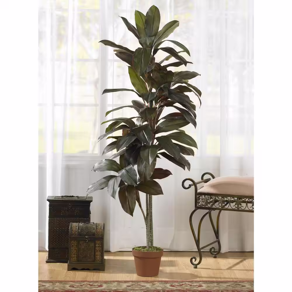 Nearly Natural Indoor 5 ft. Artificial Cordyline 