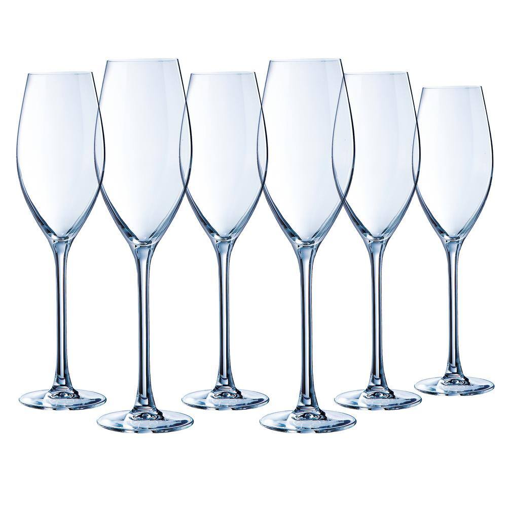 Chef&Sommelier Bellevue 8 oz. Champagne Flute (Set of 6)
