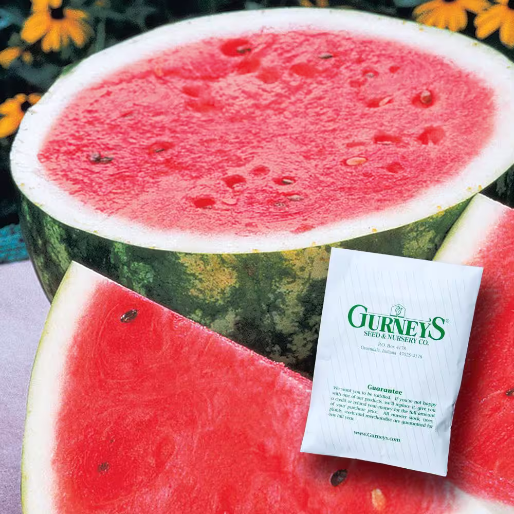 Gurney's Watermelon Rattlesnake (1 oz. Seed Packet)