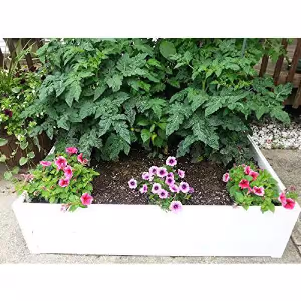 The Handy Bed 48 in. x 48 in. x 6 in. Raised Garden Bed