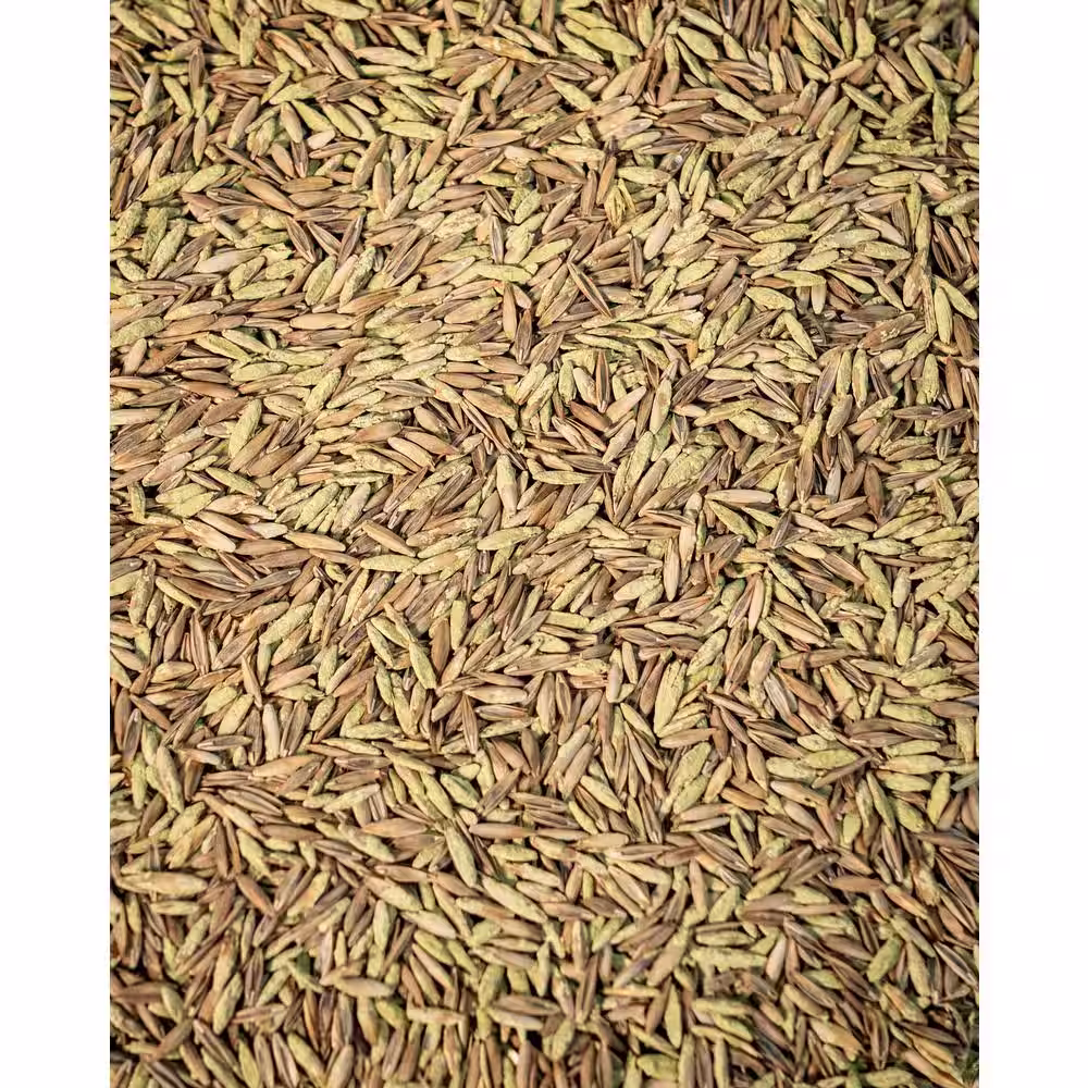 JB 7 lbs. Tall Fescue Grass Seed