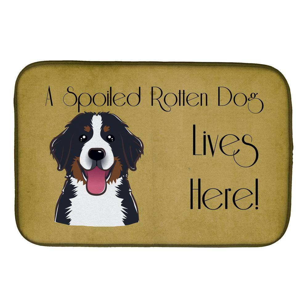 Caroline's Treasures 14 in. x 21 in. Multicolor Bernese Mountain Dog Spoiled Dog Lives Here Dish Drying Mat