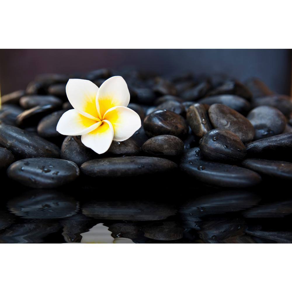 EXOTIC 3/4 in. to 1.5 in. Polished Black Pebbles (20 lbs. Bag)