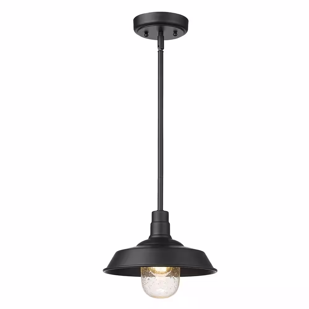 Acclaim Lighting Burry 1-Light Matte Black Outdoor Convertible Pendant