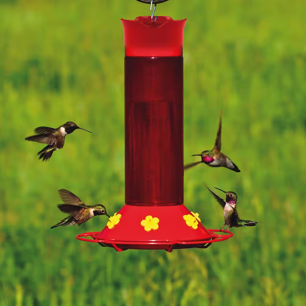 Perky-Pet Hummer's Favorite Red Plastic Hummingbird Feeder - 30 oz. Capacity