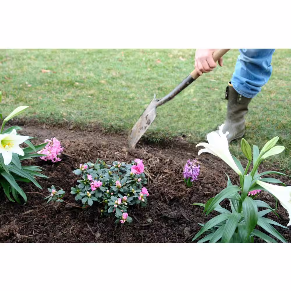 ProFlex (8) 20 ft. Coils, 160 Total Feet Heavy Duty No-Dig Edging Kit