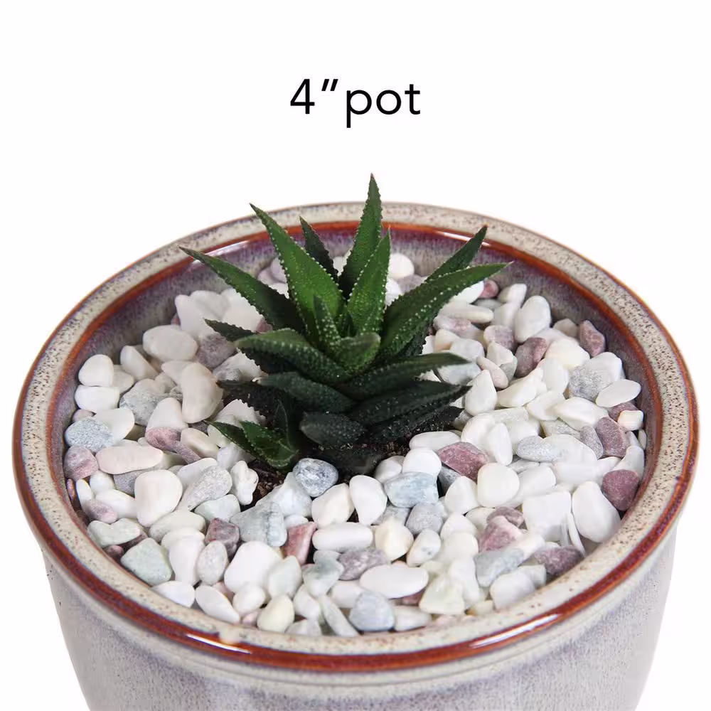 Dyiom 0.1 cu. ft. Multi-Colored Extra Small Gravel 2.5 lbs. 0.2 in.-0.4 in. Size Landscape Rocks