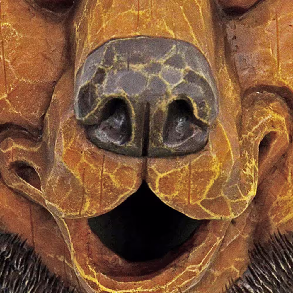 None Bird House Black Bear Face