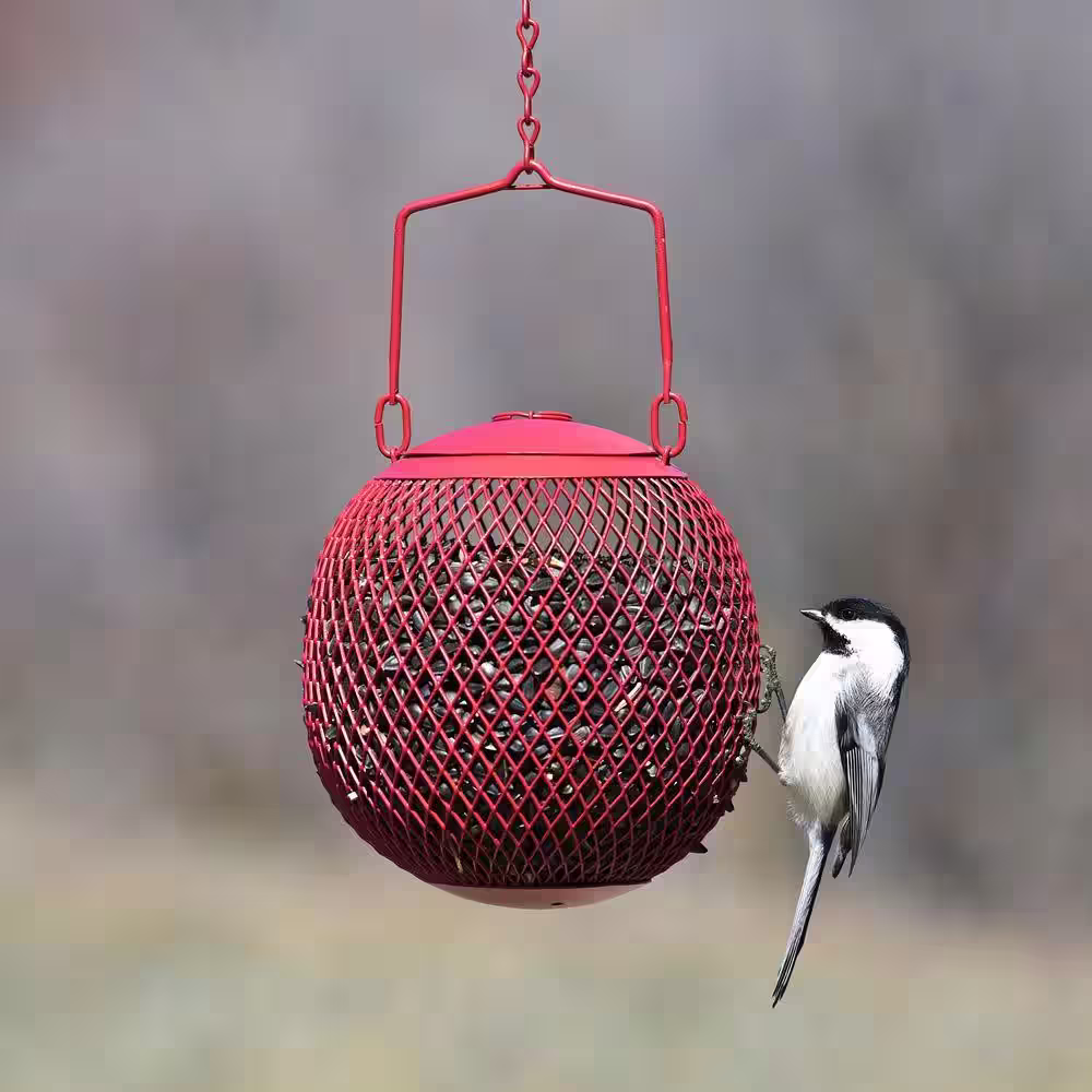 Perky-Pet Red Seed Ball Hanging Bird Feeder - 1.2 lb. Capacity