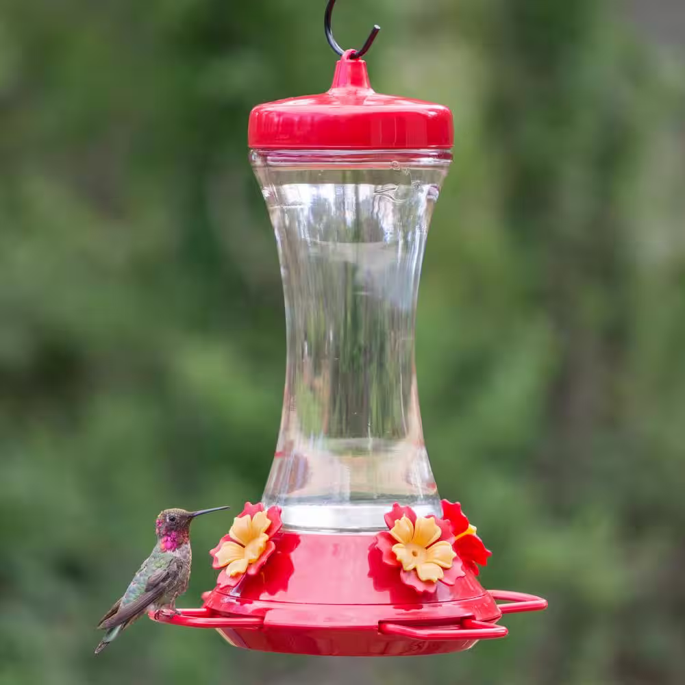 Perky-Pet Adjustable Perch Glass Hummingbird Feeder - 20 oz. Capacity