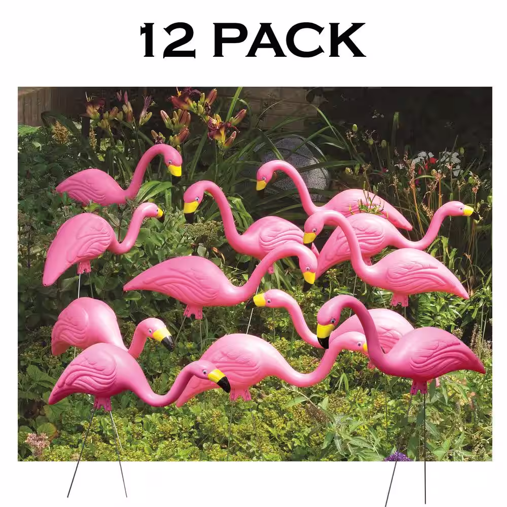 Bloem Pink Flamingo (12-Pack)