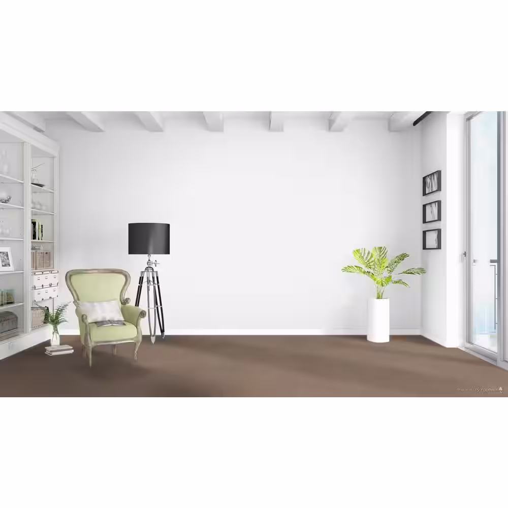 Home Decorators Collection Delicate Flower  - Modest - Beige 40 oz. SD Polyester Texture Installed Carpet