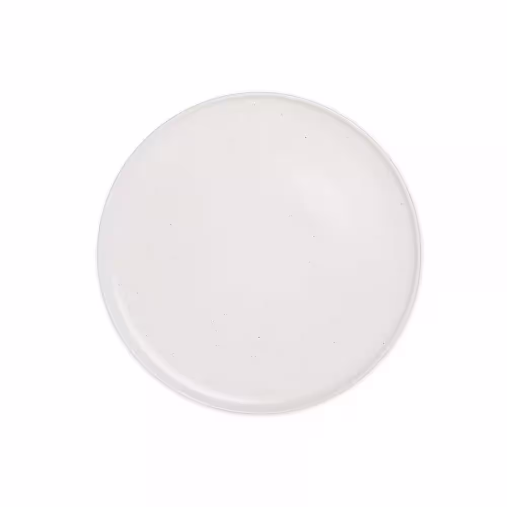 None Landon 6-Pcs 10.5 in. Round Stoneware Dinner Plate Set in Sea Salt