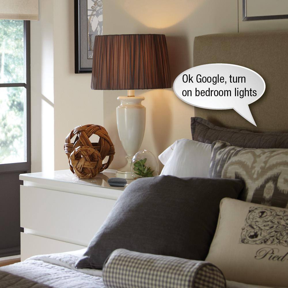 Lutron Caseta Smart Lighting Start Kit with Pico Remote, 2-Dimmer Switches, and Google Home Mini, Charcoal (CASETA-2DIM-GMCHCL)