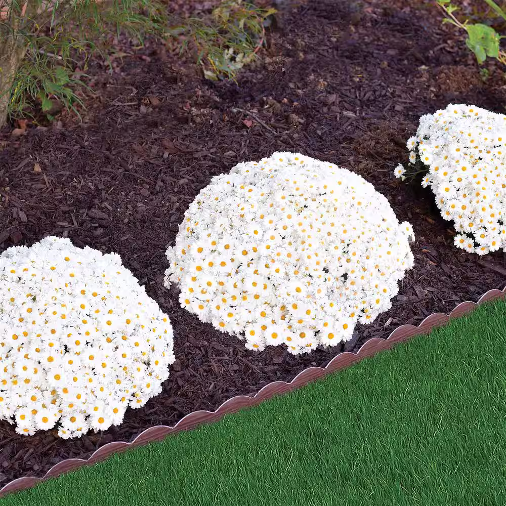 ProFlex 20 ft. Brown Woodgrain 2-in-1 Plastic Landscape Edging Kit