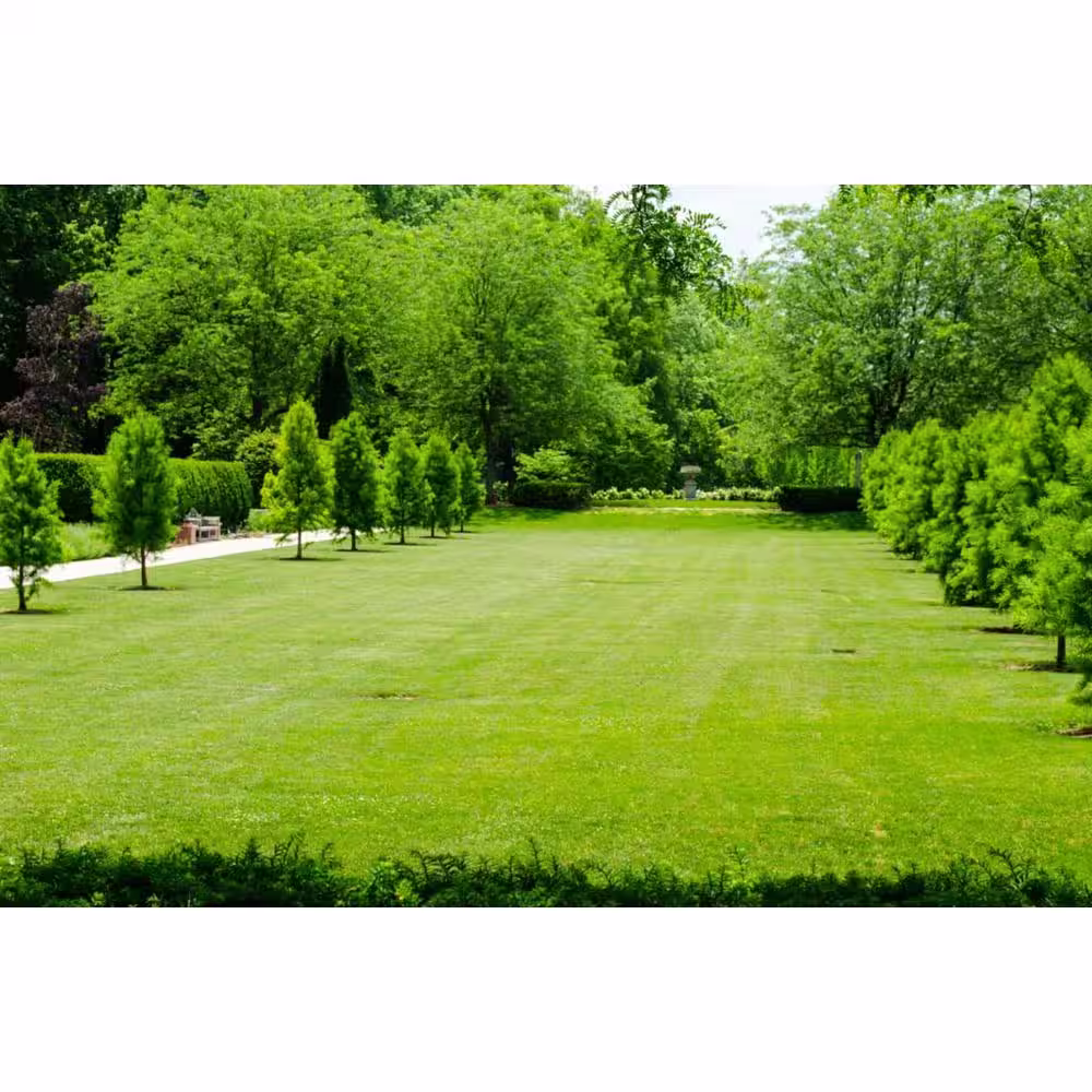 Gardens Alive! 2 lbs. Southern Turf Alive Grass Seed Mixture