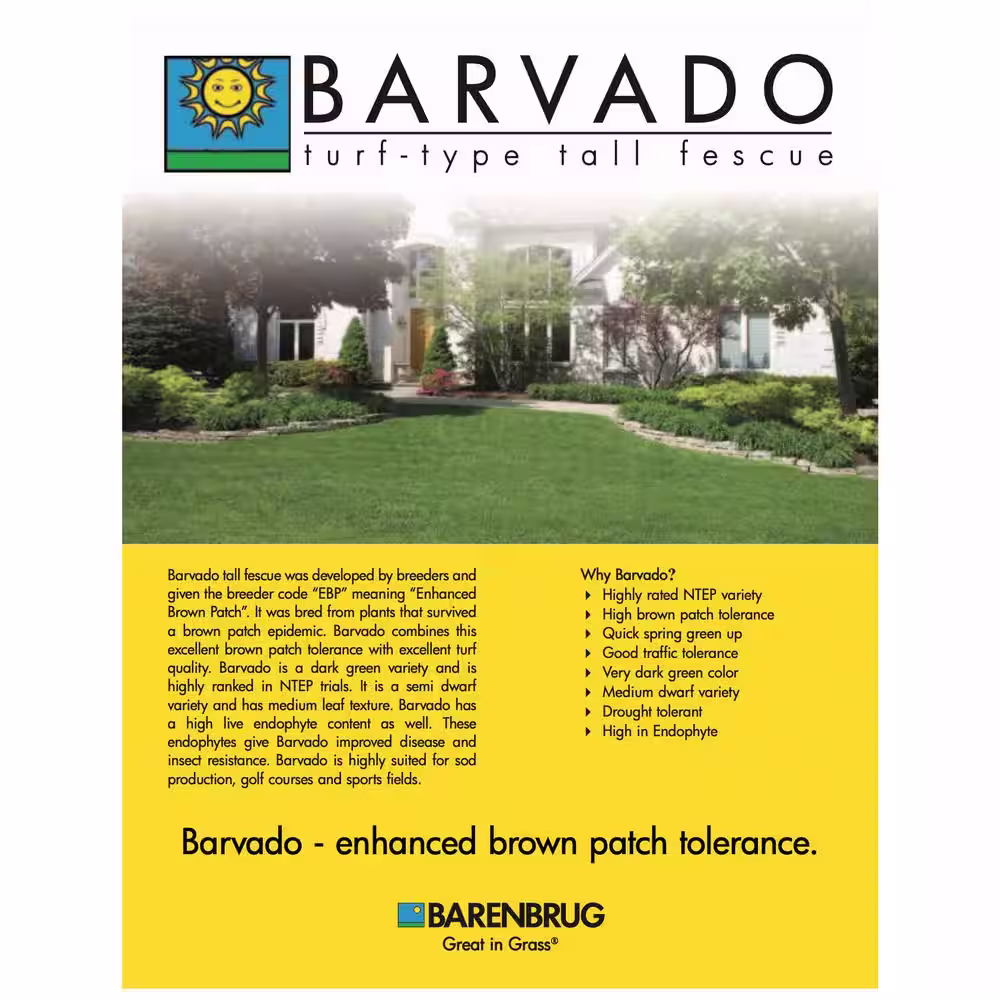 Barenbrug 50 lb. Barvado Tall Fescue Grass Seed