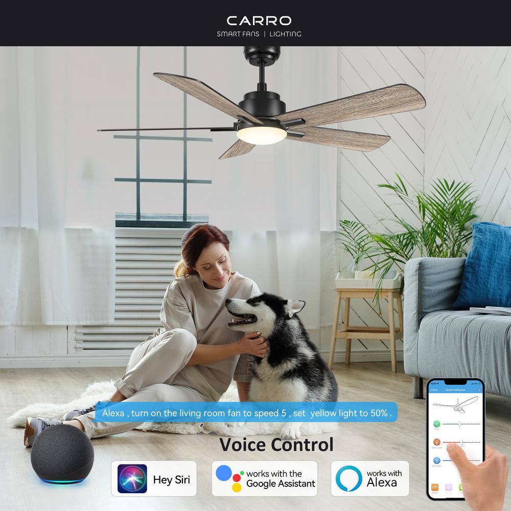 CARRO Apex 52 in. Integrated LED Indoor/Outdoor Black Smart Ceiling Fan with Light and Remote, Works with Alexa/Google Home