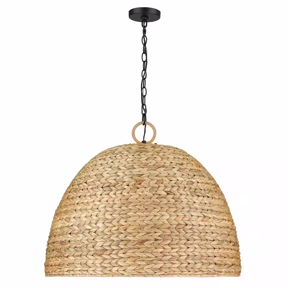 Golden Lighting Rue 8-Light Matte Black Pendant with Other Shade