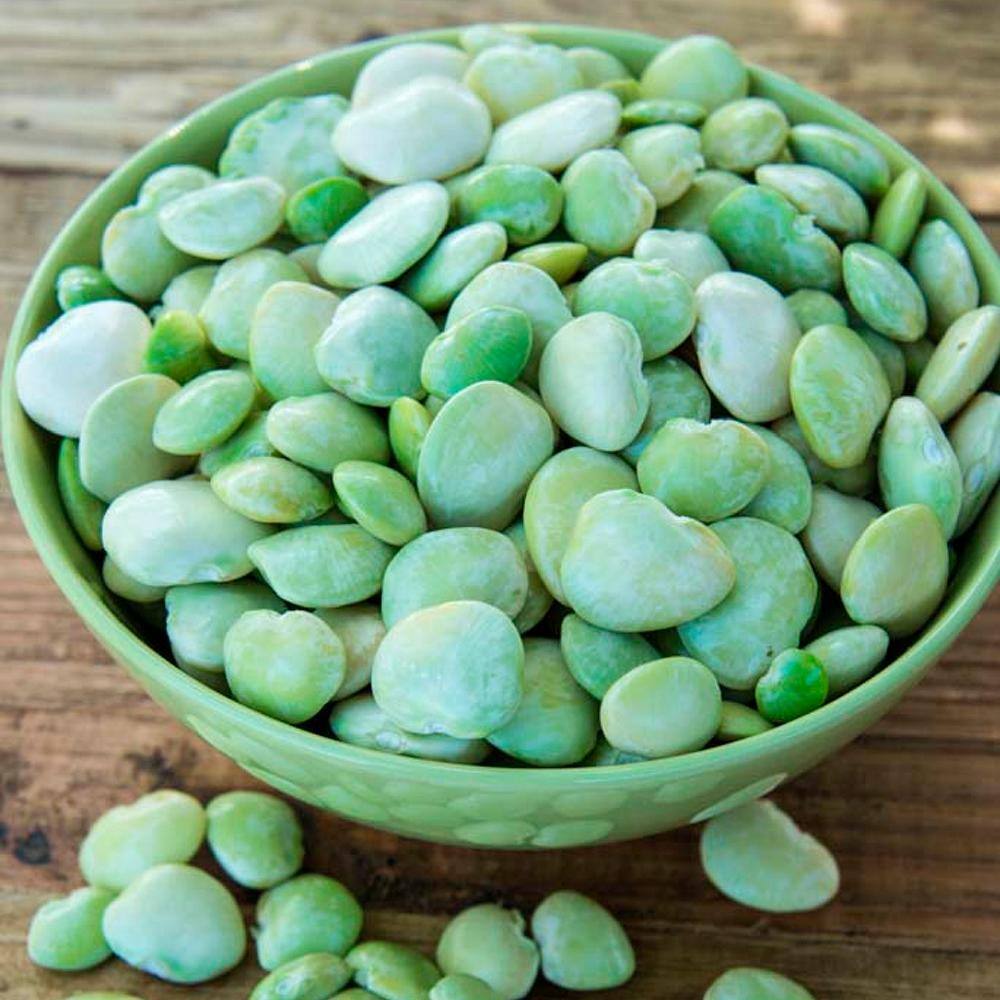 Gurney's Lima Bean Fordhook 242 (2 lb. Seed Packet)