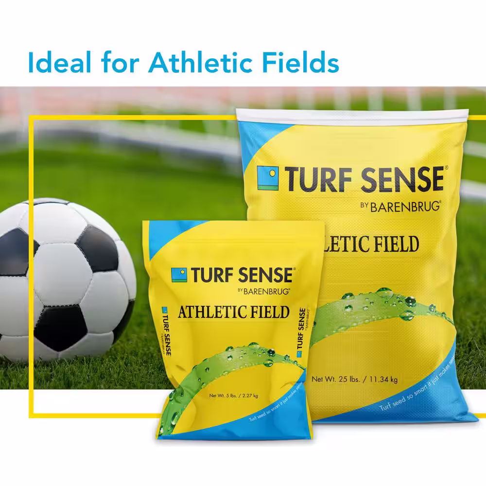 Barenbrug 25 lbs. 5,000 sq. ft. Turf Sense Athletic Field Mix Grass Seed