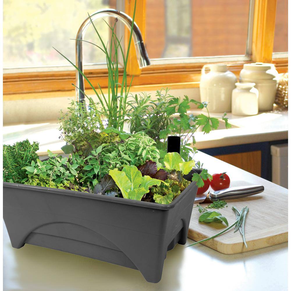 CITY PICKERS 12 in. x 20 in. Slate Resin Indoor/Outdoor Start Pickin' Raised Bed Herb Grow Box, Self-Watering with Improved Aeration