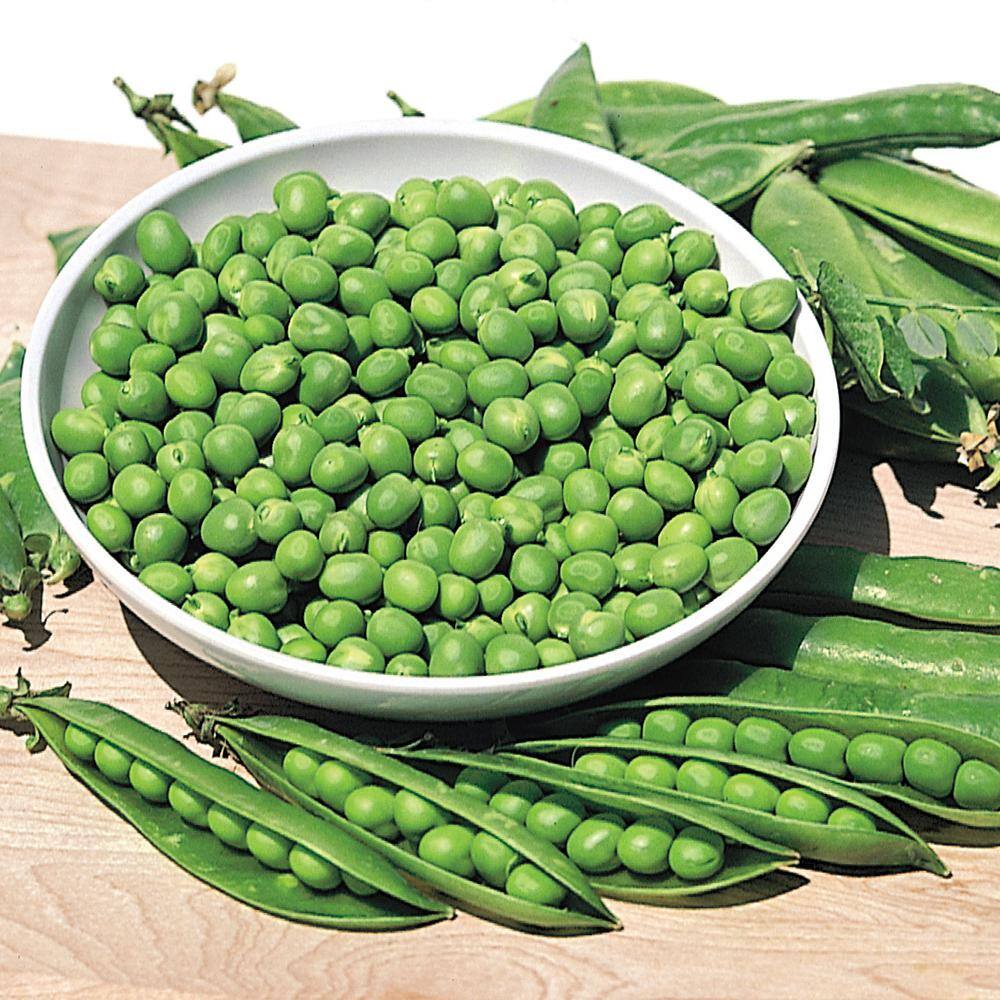 Gurney's 0.50 lb. Pea Little Marvel (Seed Packet)