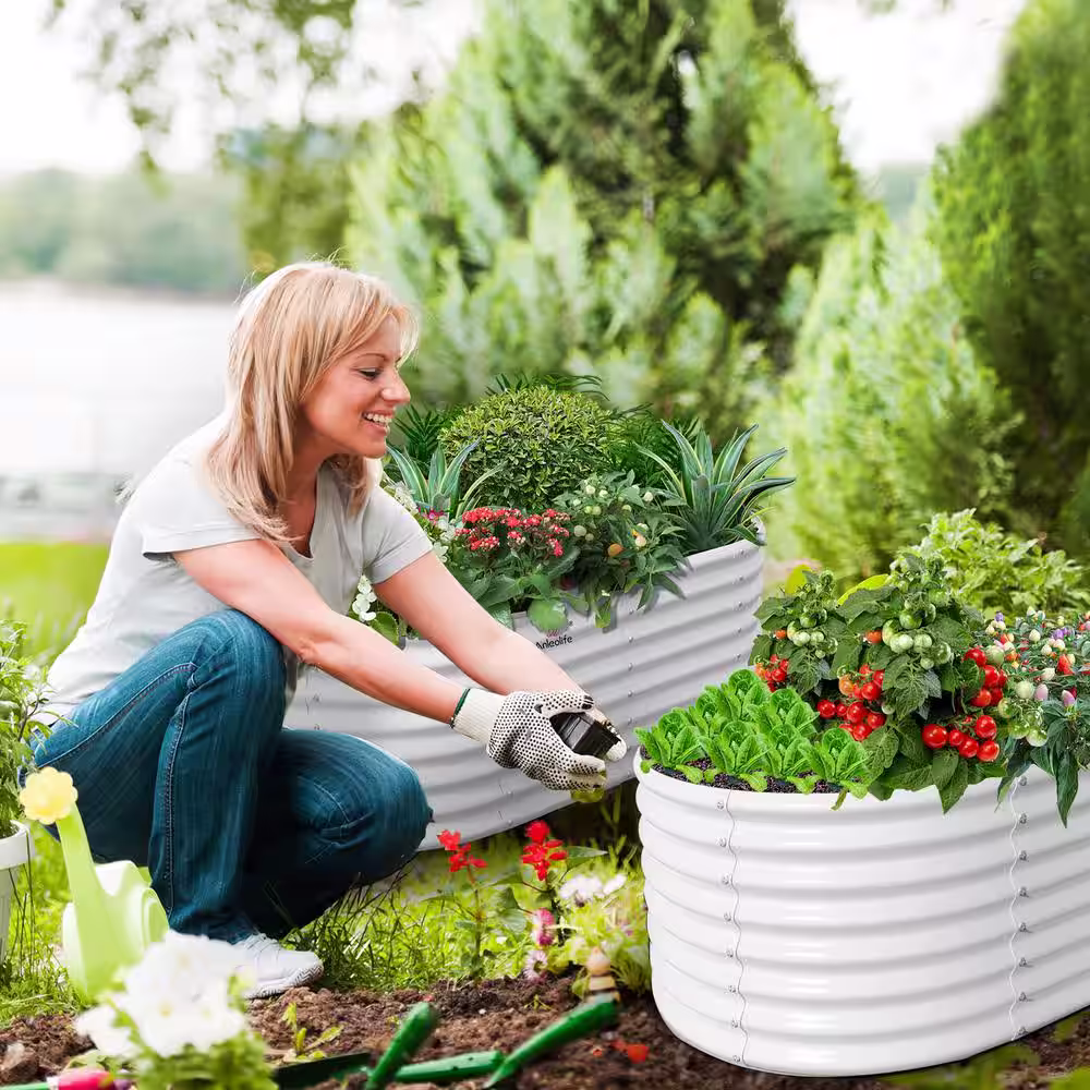 None 2 Pcs White Anti-Rust Galvanized Raised Steel Garden Bed Oval Above Ground Modular Planter Boxes (96