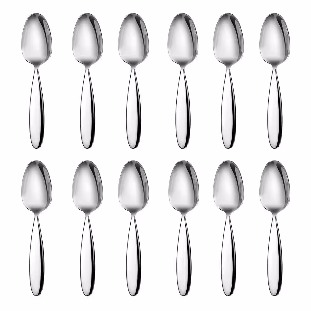 DM 12-Piece 18/10 Stainless Steel Silverware Mirror Polish Teaspoon Set