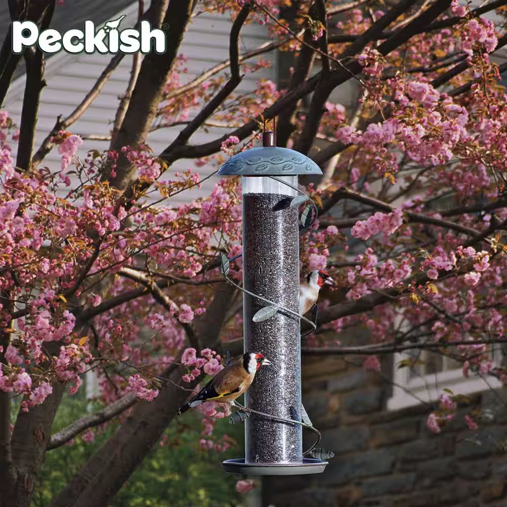 None Spiral Finch Feeder