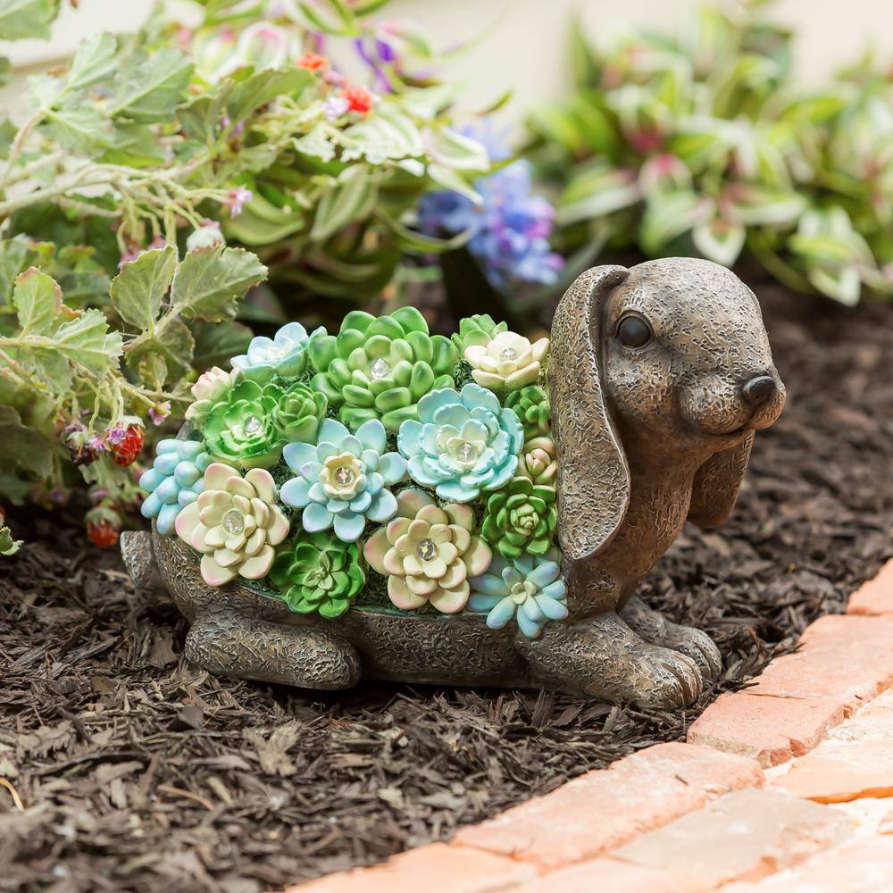 Evergreen Solar Resin Succulent Rabbit