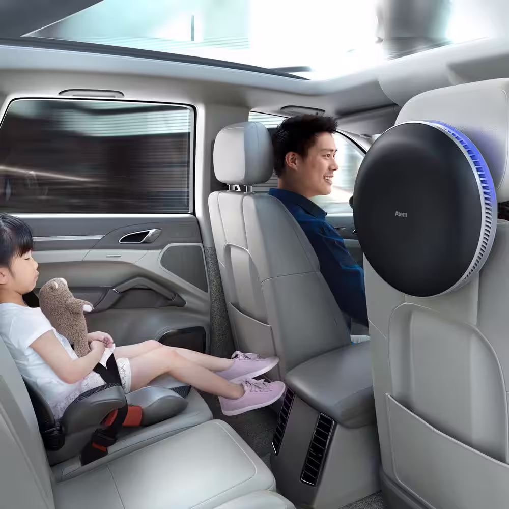 IQAir Atem Car Air Purifier