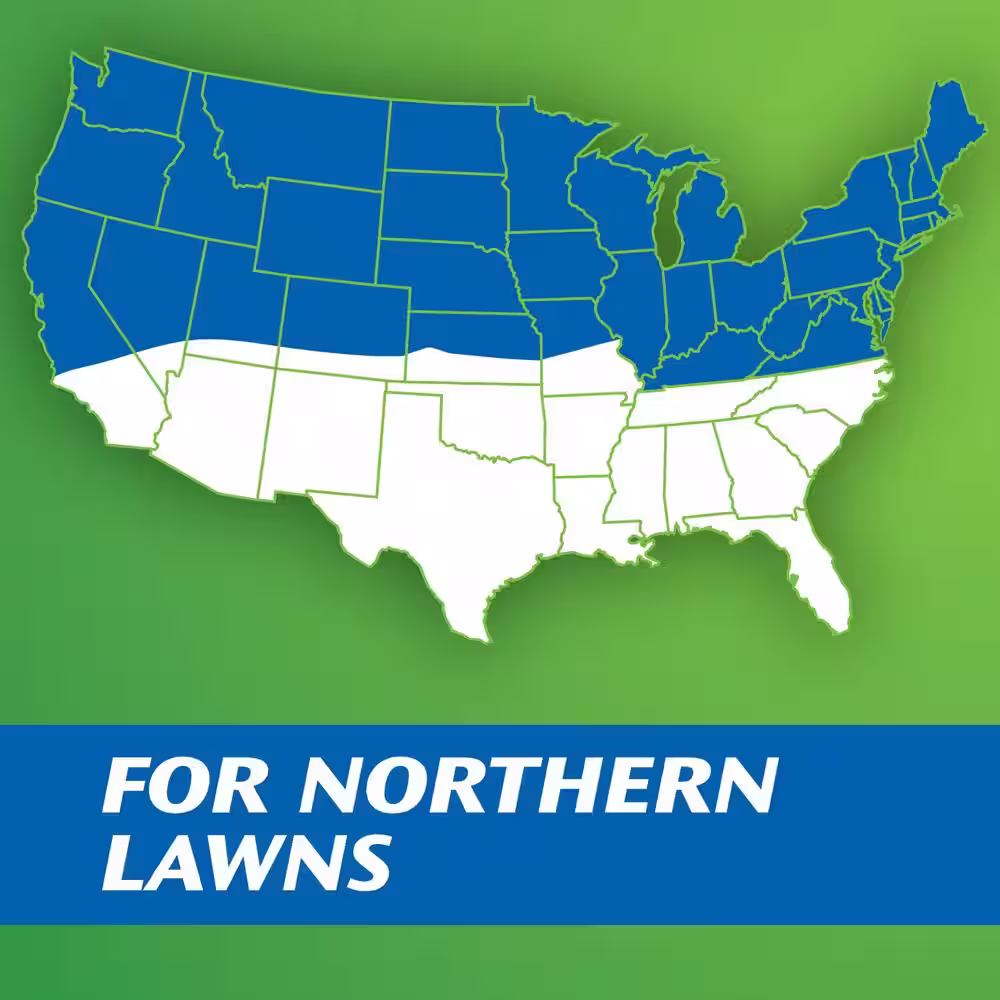 None PatchMaster 4.75 lbs. Lawn Repair Mix Sun + Shade Mix, Combination Grass Seed, Fertilizer, and Mulch