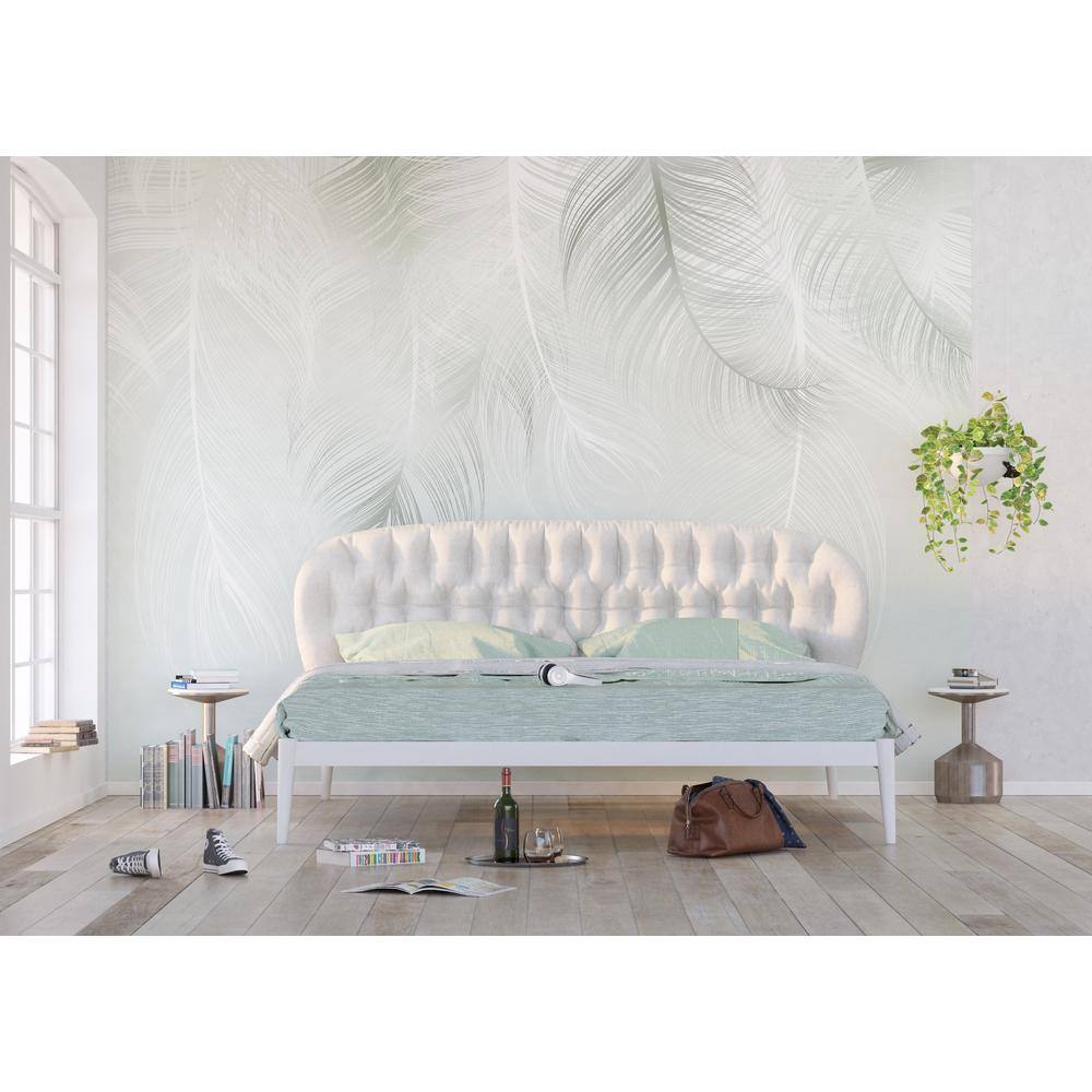 Dundee Deco Falkirk Airdrie Animals Feathers Contemporary Wall Mural