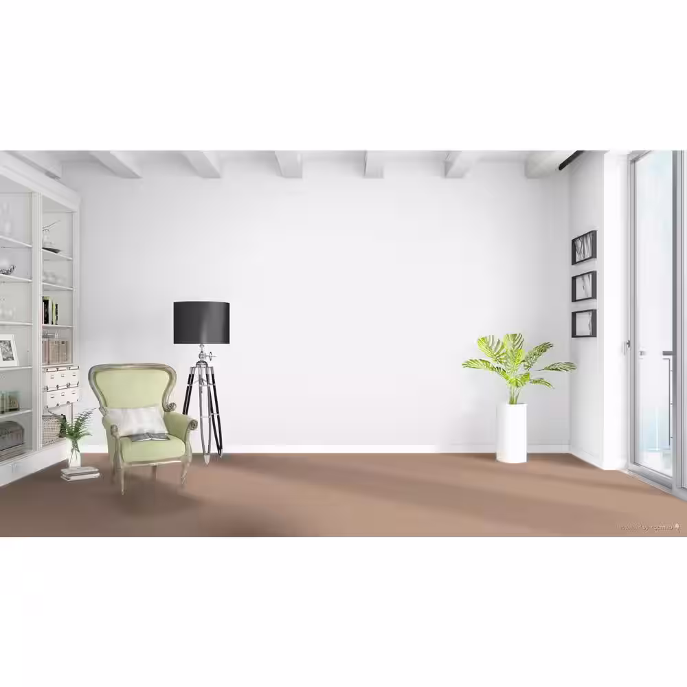 Home Decorators Collection Stargazer  - Daydreamer - Beige 32 oz. SD Polyester Texture Installed Carpet
