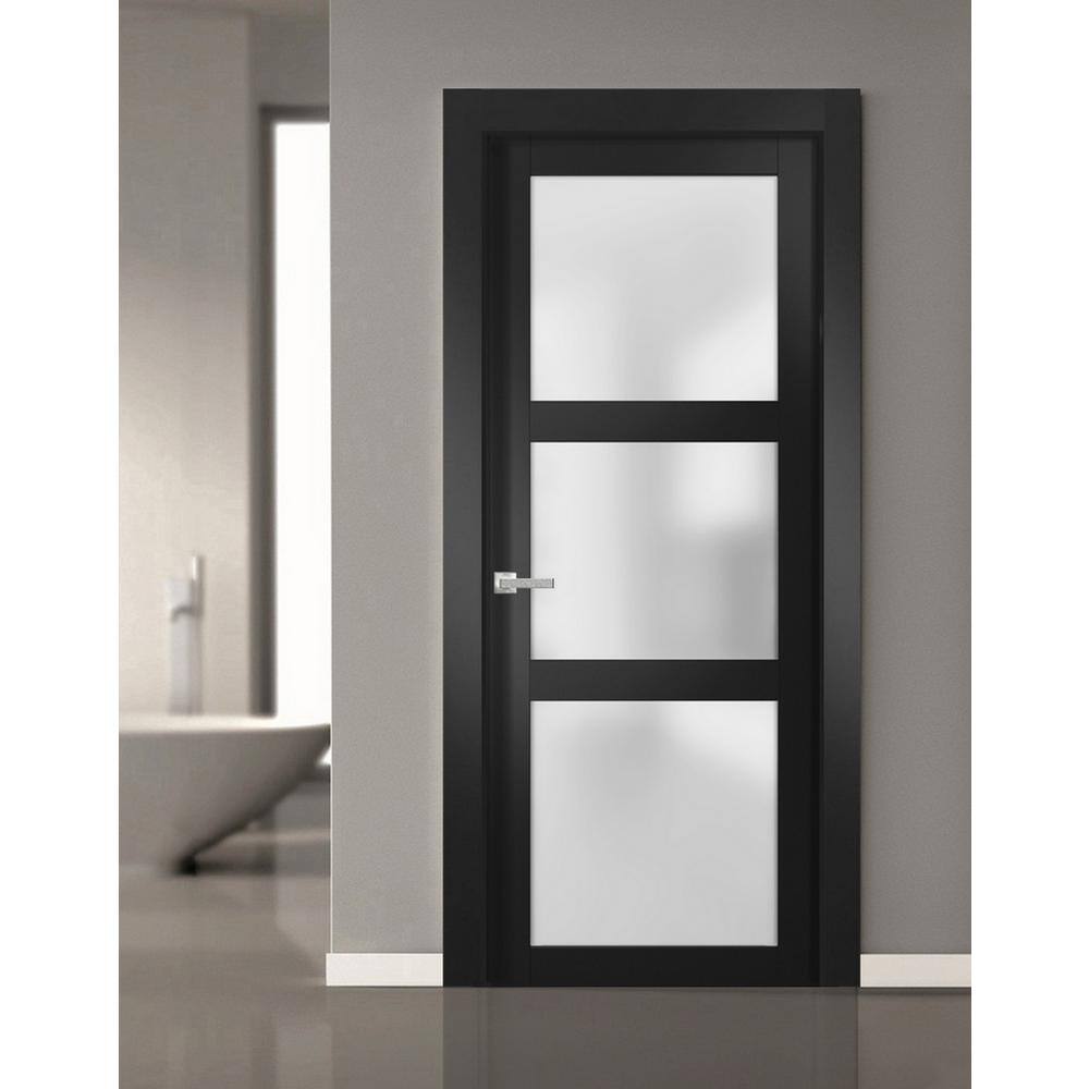Sartodoors 2552 24 in. x 80 in. Universal Handling Frosted Glass Solid Core Black Finished Pine Wood Single Prehung French Door
