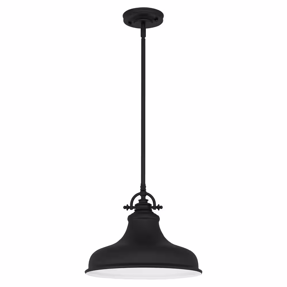 DSI Holly 1-Light Earth Black Pendant with Metal Shade